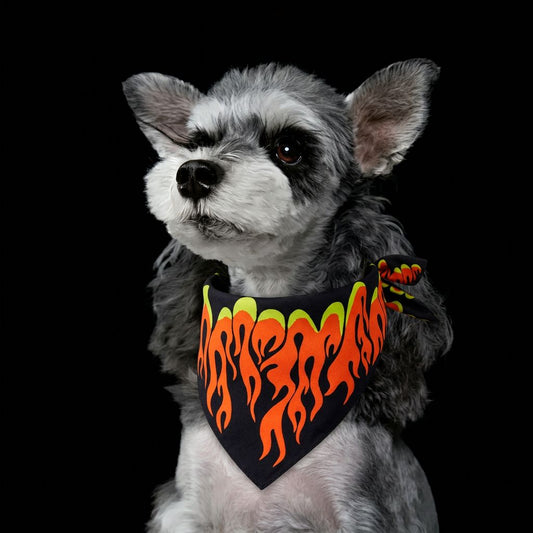 Flame Dog Bandana for Dogs & Cats – Hip Hop Pet Scarf