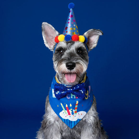 Dog Birthday Outfit Set for Dogs & Cats – Hat, Bandana & Bow Tie