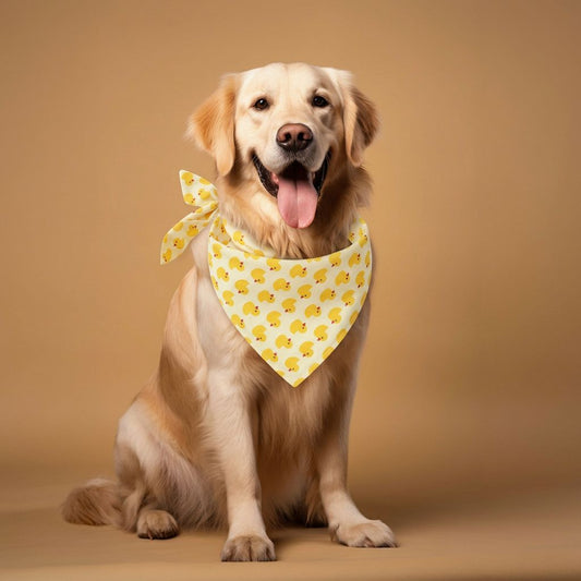 Duck Dog Bandana for Dogs & Cats – Cute Yellow Pet Scarf