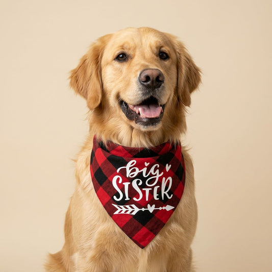 Plaid Dog Bandana for Dogs & Cats – Classic British Pet Scarf